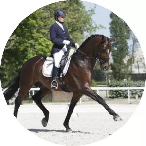 Dressage