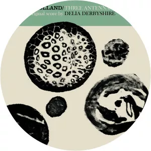 Drew Mulholland - Musical artist