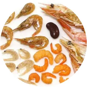 Dried shrimp photograph