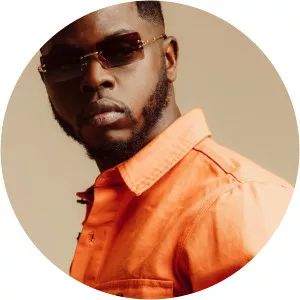 Driks - Musical artist