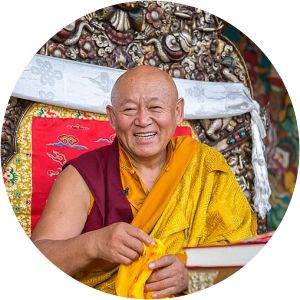 Drikung Chetsang Rinpoche photograph