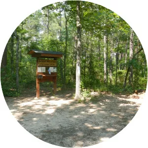 Driskill Mountain - Summit in Louisiana