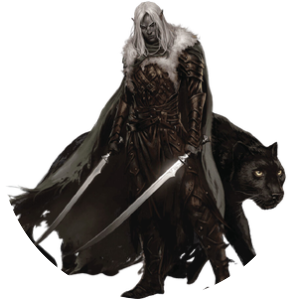 Drizzt