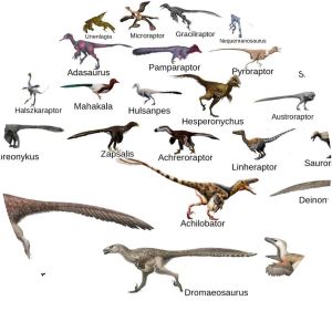 Dromaeosauridae
