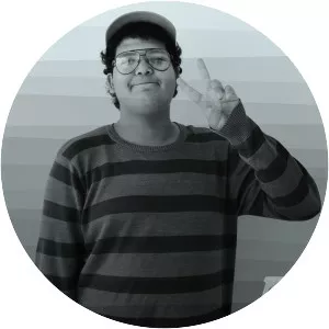 Dromedarios Mágicos - Musical artist