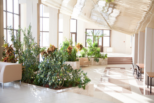 Drugaya Ginekologiya