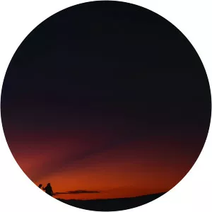 DrumsMaster - Musical artist