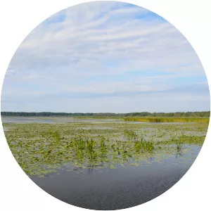 Drużno - Lake in Poland