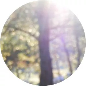 kai rosenkranz dryante - Musical ensemble