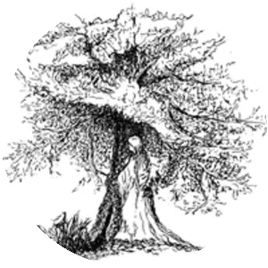 Dryope - Daughter of Dryops