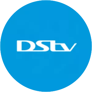 DStv - Company