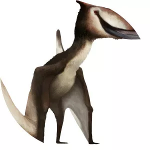Dsungaripterus