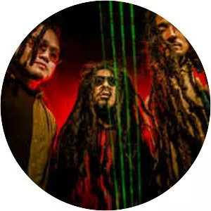 DUB 4 REASON - Musical artist