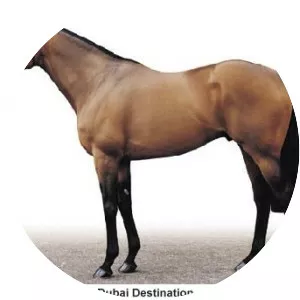 Dubai Destination