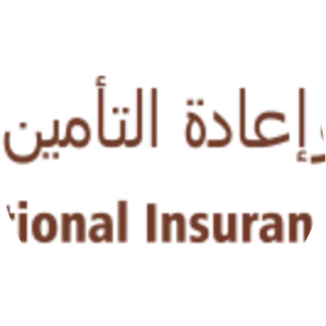 Dubai National Insurance and Reinsurance P.S.C. - Insurance company