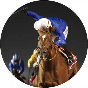 Dubai World Cup Horse Racing - TV program