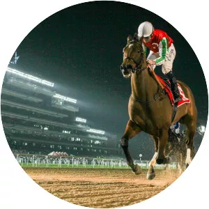 Dubai World Cup - 
