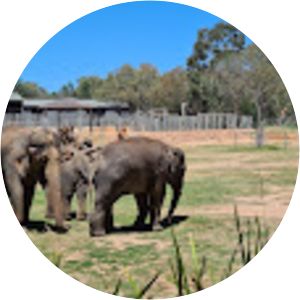 Dubbo Water Polo Inc