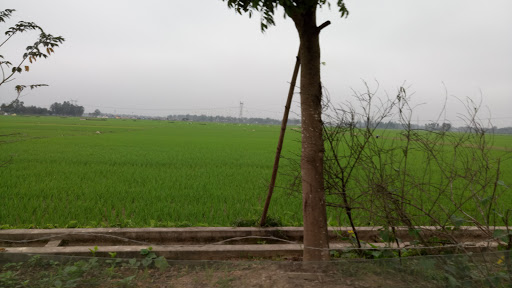 Duc Thanh Cultural House