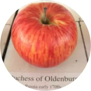 Duchess of Oldenburg