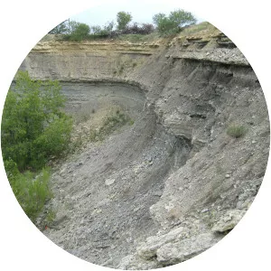 Duck Creek Formation
