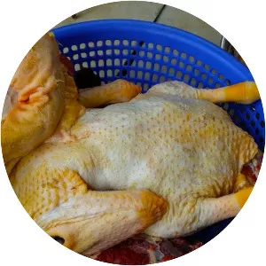 Duck meat - 