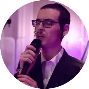 Dudi Knopfler - Musical artist