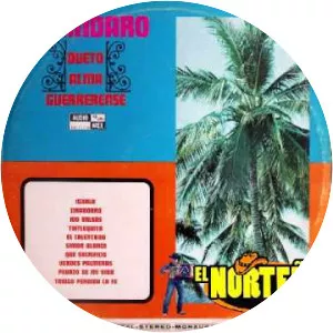 conjunto jarocho medellín de lino chávez dueto alma guerrerense