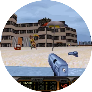 Duke Caribbean: Life's a Beach - Video game