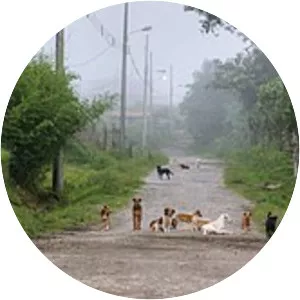 Dulce Nombre de Jesús District - 