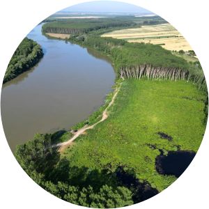 Dunărea Veche – Braţul Măcin