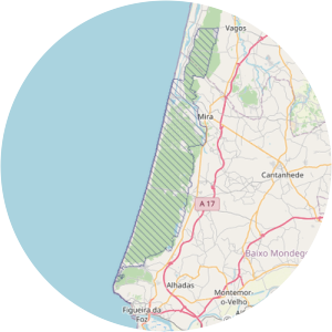 Dunas de Mira, Gândara e Gafanhas