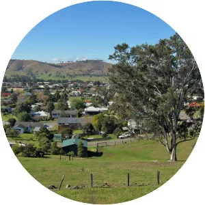 Dungog