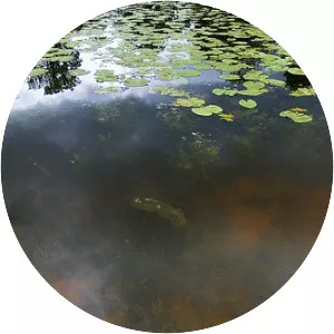 Dunham Pond - Pond in Massachusetts