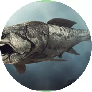 Dunkleosteus
