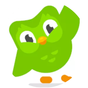 Duolingo - Website