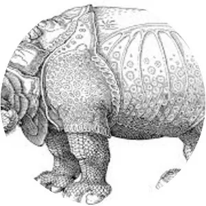Dürer's Rhinoceros