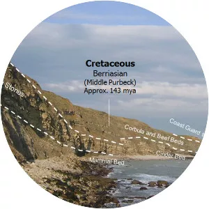 Durlston Bay - Bay in the United Kingdom