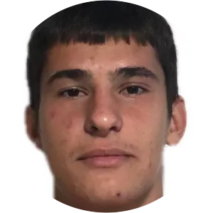 Du šan Dimitrijević