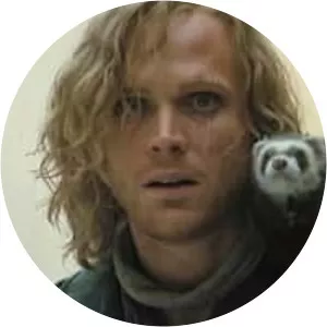 Dustfinger - Fictional character