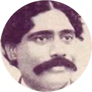 Dwarkanath Madhav Pitale - Writer