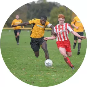 Dylan Allshorn - Football player