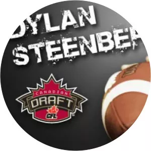 Dylan Steenbergen