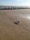 Dymchurch Beach - 