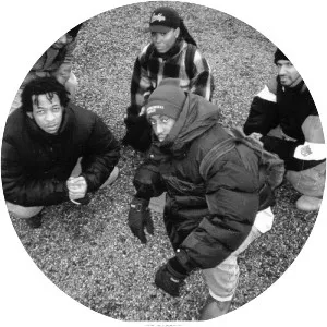 Dysfunkshunal Familee - Musical group