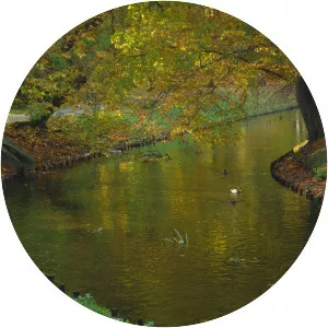 Dzierżęcinka - River in Poland