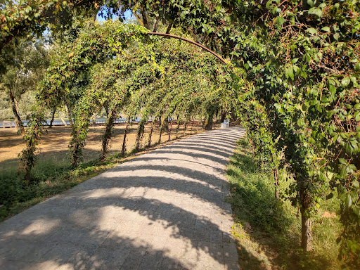 E-bike Minho - Bicycle rental service in Moncao, Portugal