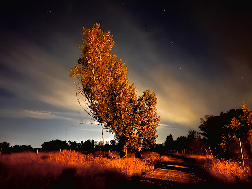 E.D.A.R. Talamanca de Jarama.