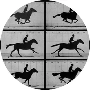 Eadweard Muybridge, Zoopraxographer