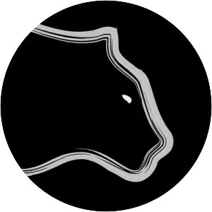 Eagle Eyed Tiger - Musical artist